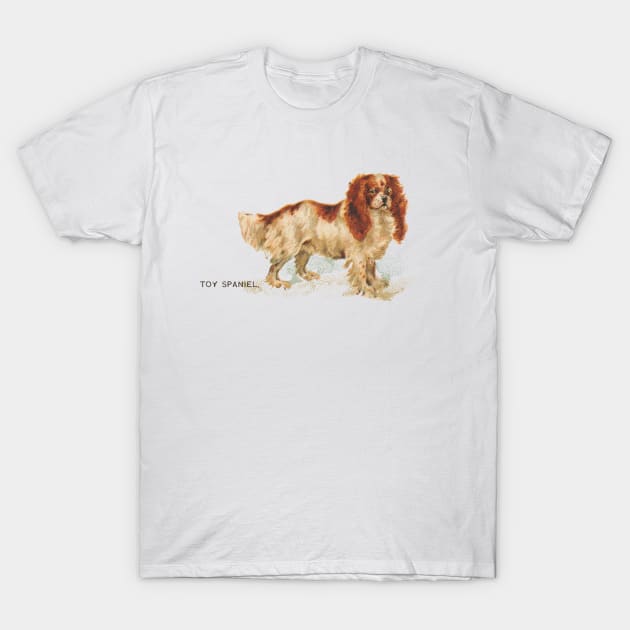 Toy Spaniel T-Shirt by Museum Pop Art